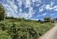Land at Capton, Dittisham