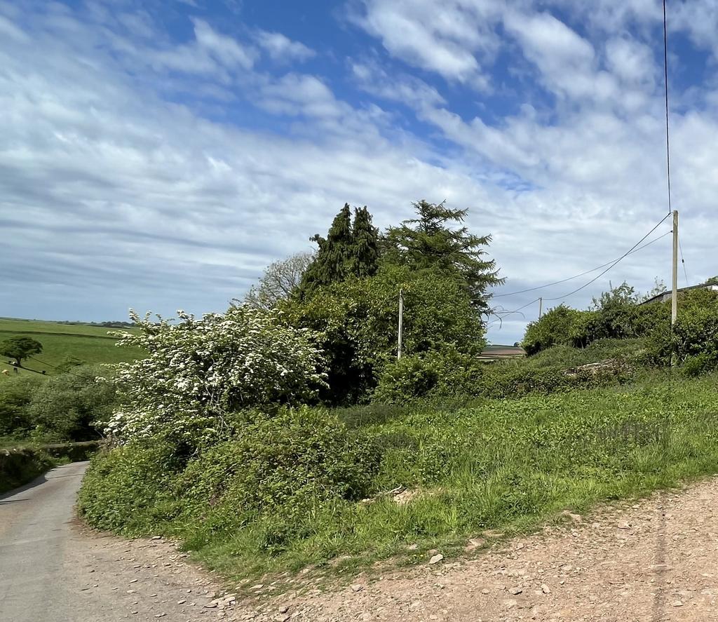 Land at Capton, Dittisham - View 2