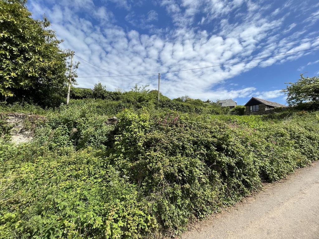 Land at Capton, Dittisham - View 4