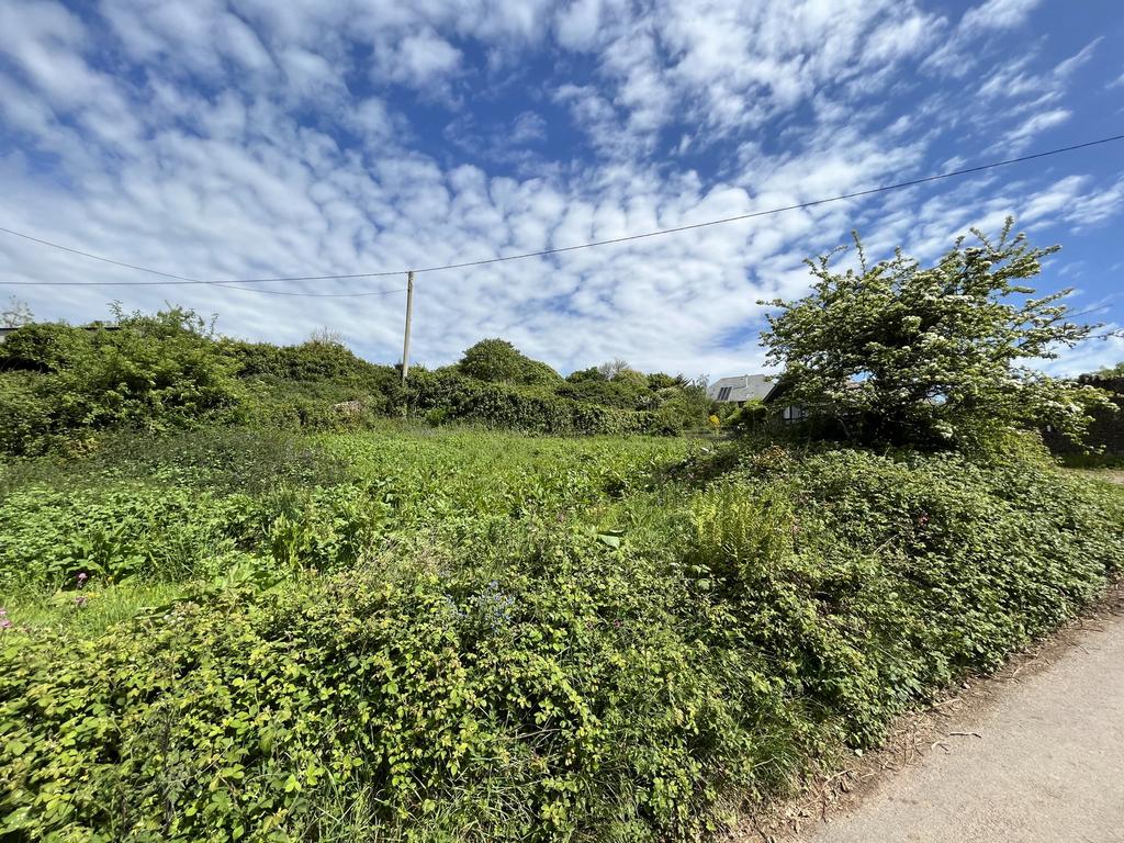 Land at Capton, Dittisham - More