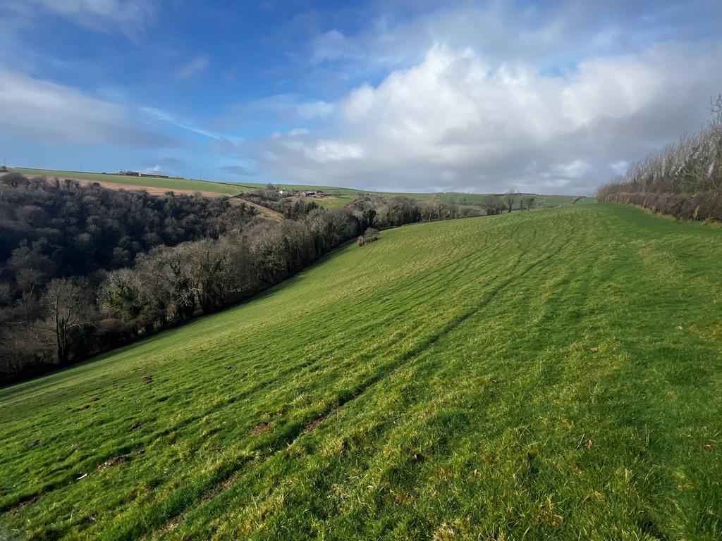 East Allington, Totnes - View 2