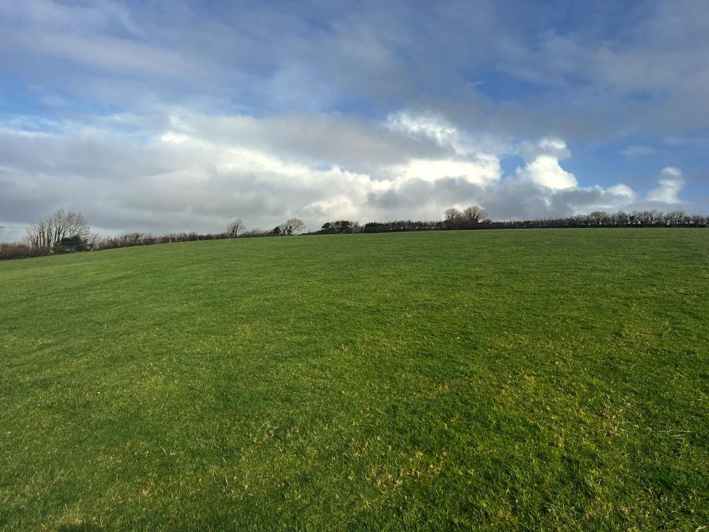 East Allington, Totnes - View 4