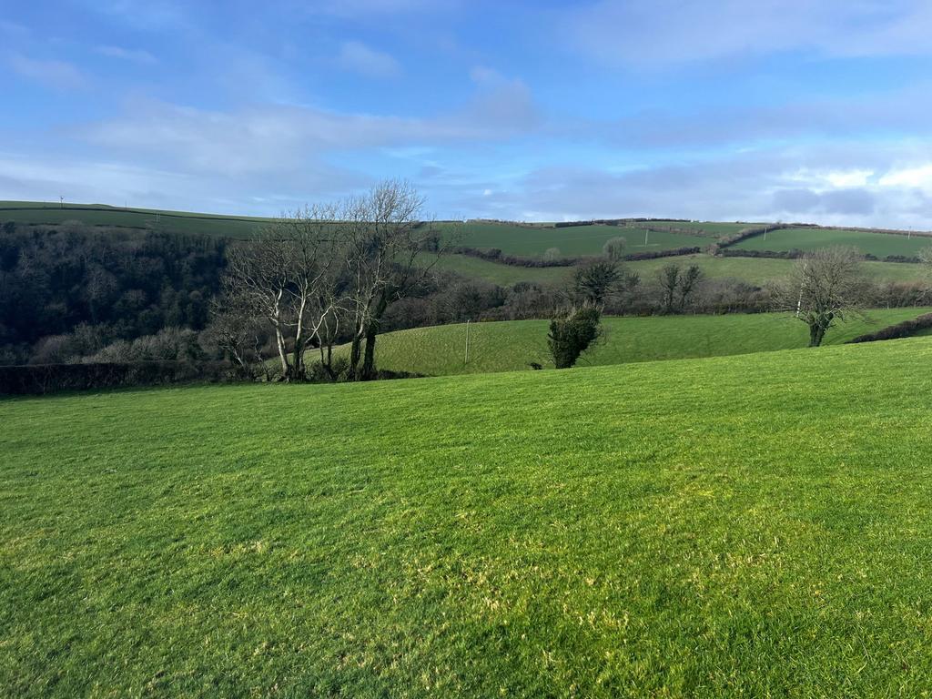 East Allington, Totnes - More