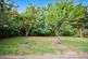 Temple Road, Epsom KT19 photo 3