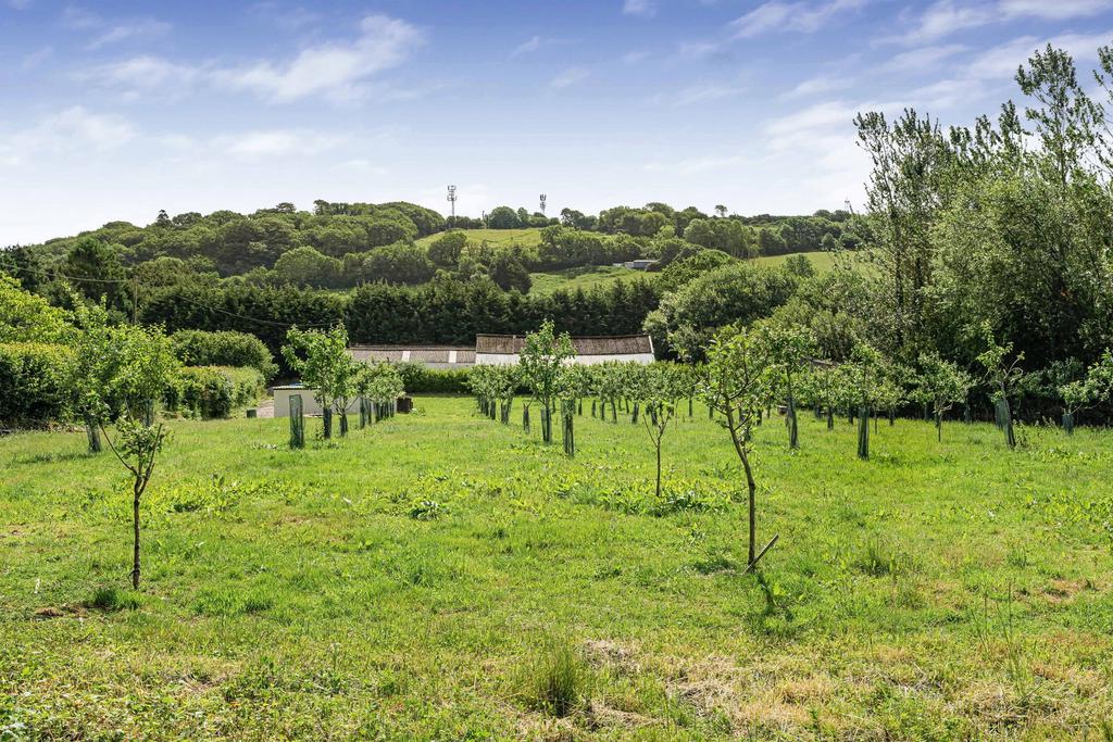 Cheston Lane, South Brent - View 2