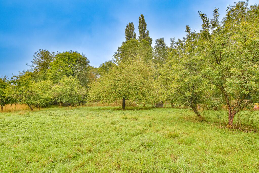Bridge Street, Great Bardfield - View 4