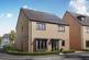 The Henford - Plot 55 at The Arboretum, The Arboretum, Three Counties Way CB9