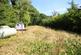 Werfa, Aberdare CF44 photo 5