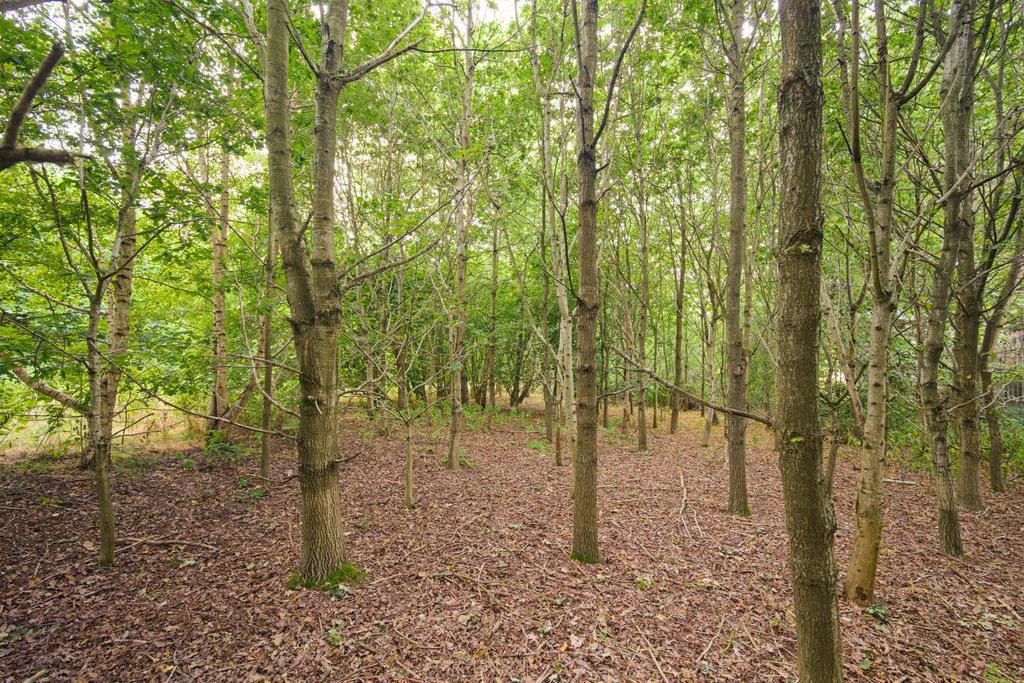 Land At Swannington - Lot 12, Burtons Lane, Swannington - View 4