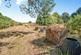 Horningtops, Liskeard, Cornwall, PL14 photo 3