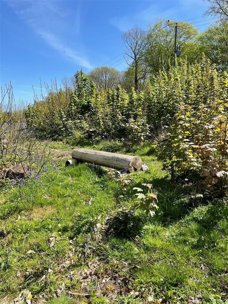 Udimore Road, Broad Oak, Rye - View 4