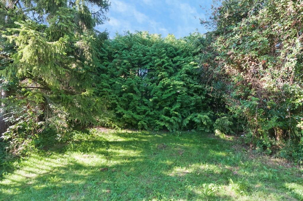 House in East Sussex - More