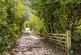 Amberley Close, Haywards Heath photo 3