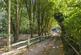Priory Road, Forest Row photo 2