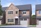 Langthorpe Meadows, Langthorpe, Boroughbridge