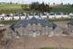 Plot 3 Strathmartine Gardens, off Baldovan Road, Strathmatine, Angus DD3 0PG photo 2