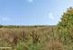 South View, Houghton le Spring, DH5 photo 2