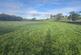 Penybanc, Llandeilo, SA19 photo 3