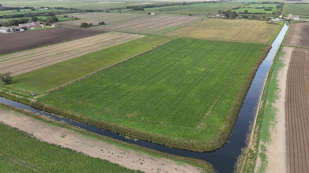Short Drive, Ely CB6