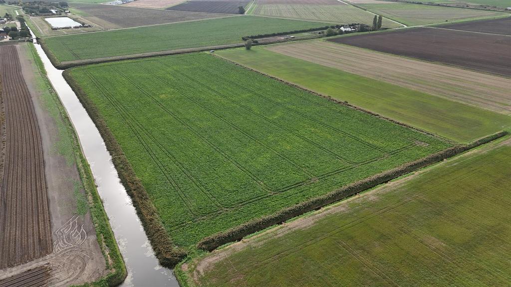 Short Drive, Ely CB6 - View 2