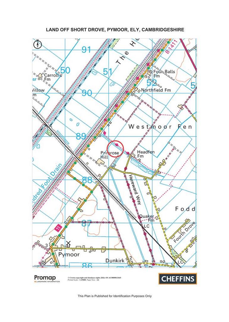 Short Drive, Ely CB6 - View 3
