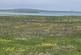 Balfour, ORKNEY KW17 photo 2