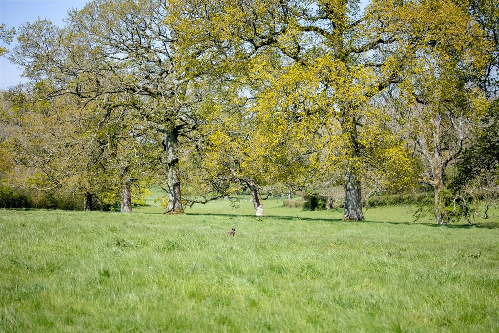 East Meon, Petersfield, Hampshire - View 2