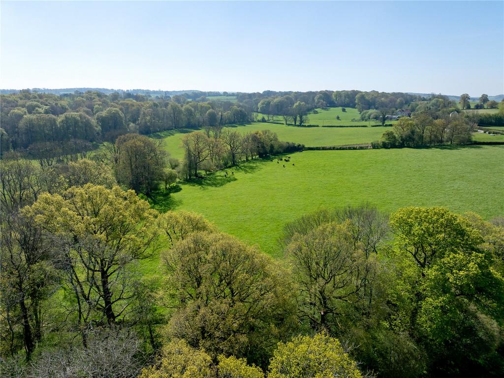East Meon, Petersfield, Hampshire - View 4
