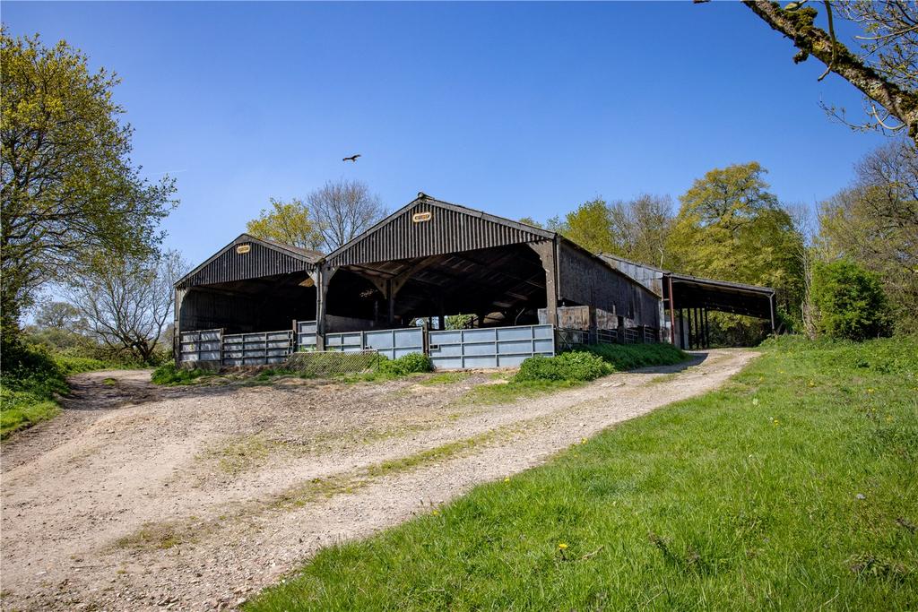 East Meon, Petersfield, Hampshire - More