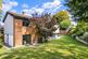The Avenue, Hitchin photo 5