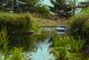 Grundisburgh, IP13 photo 4