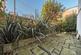 Malpas Road, Brockley photo 5