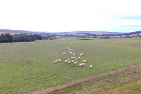 Land for sale, Land at Carterway Heads, Edmundbyres, Northumberland