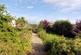 Lochpark, Carradale photo 4