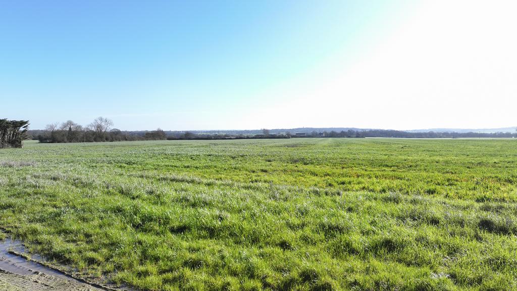 Writtle Road, Margaretting, Ingatestone CM4 - View 3