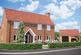 Holly Grove, Belstead, Suffolk, IP8
