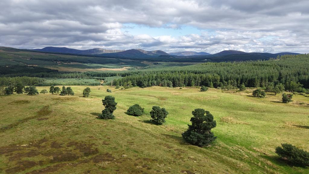 Lot 3 - Woodlands Hill, Dingwall IV15 - View 2