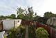 Chestnut Grove, WEMBLEY, HA0 photo 2