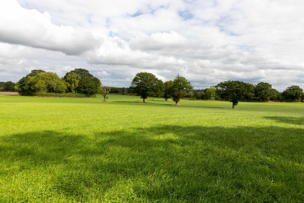 Land At Norley Lane, Crowton, Northwich, Cheshire, CW8 - View 4
