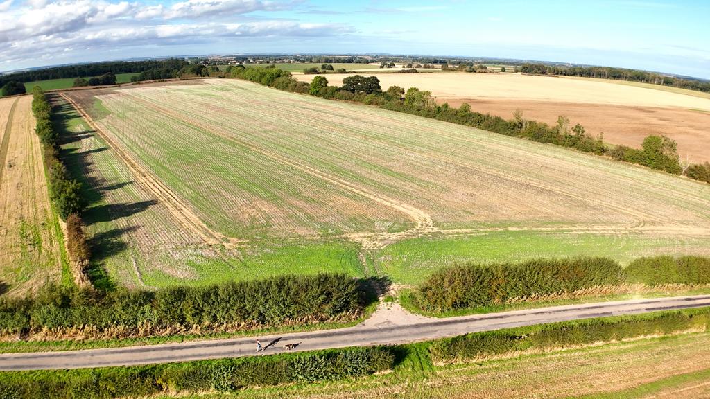 Rootas Lane, Etton, HU17