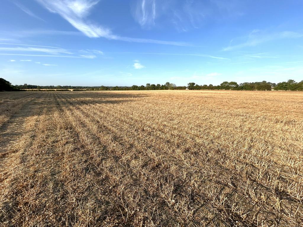 Rootas Lane, Etton, HU17 - View 5