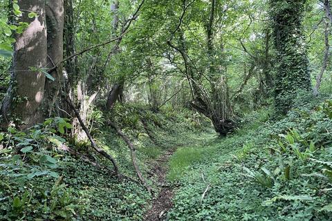 Land for sale, Langford Budville, Wellington