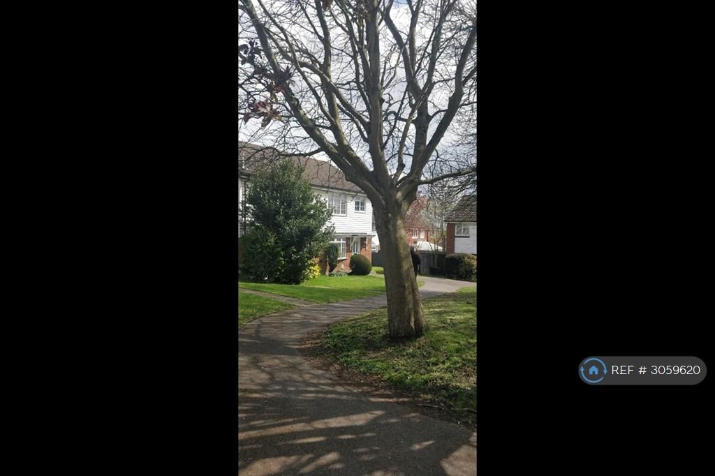 House in Reading - View 4