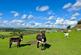 Harecroft, Wilsden, Bradford, BD15 photo 2