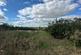 Dormington, Hereford, HR1 photo 2