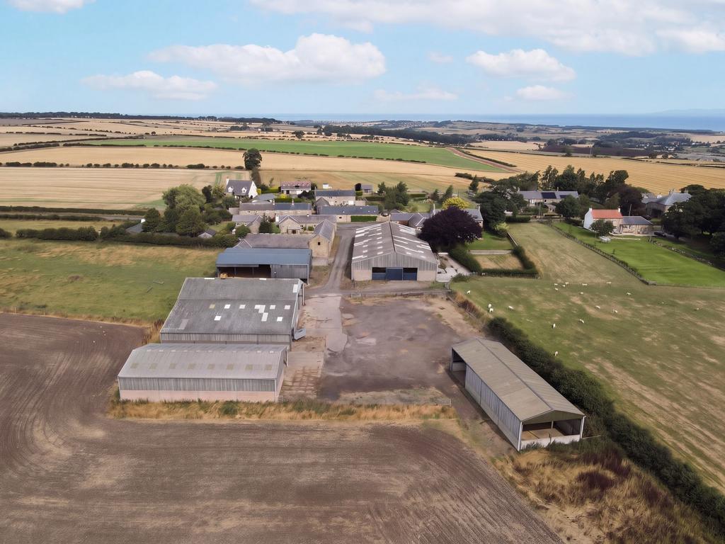 High Buston, Alnwick NE66 - More
