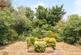 Folkington Corner, N12 photo 5