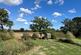 Coolham photo 2