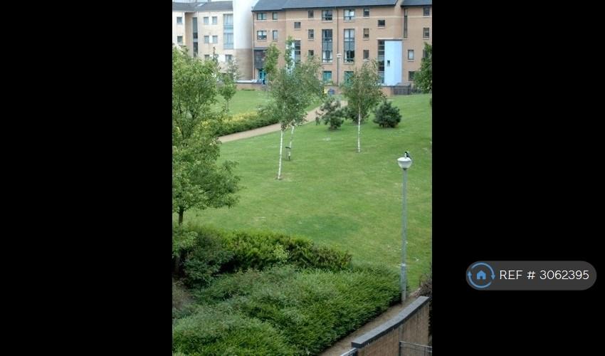 Apartment in Glasgow - More