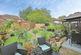 Harsnett Close, Norwich photo 4